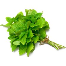 Oğul Otu Sirkesi / Balm Vinegar 500 ml