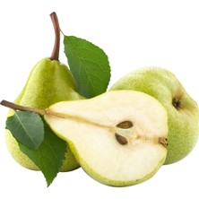 Limon Armudu Sirkesi / Pear Vinegar 500 ml