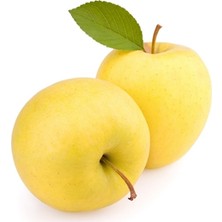 Golden Elma Sirkesi / Apple Cider Vinegar 500 ml