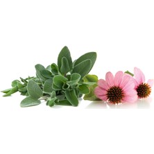 Adaçayı & Ekinezya Sirkesi / Sage & Echinacea Vinegar 500 ml