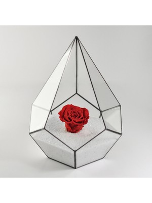 Siyah Antrasit Geometrik Prizma Teraryum Cam Fanus ve Solmayan Gül Hediyelik Konsept Aksesuar Cam Aksesuar 27X22X22CM