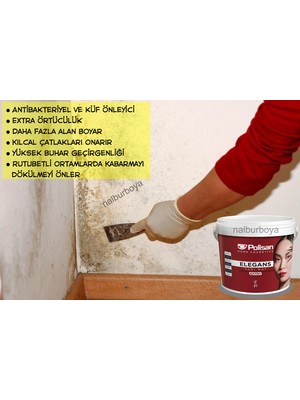 Polisan Antibakteriyel Elegans Extra 15LT/20KG+9 Parça Set-Su Bazlı-Tamsilinebilir-Silikonlu-Yarımat