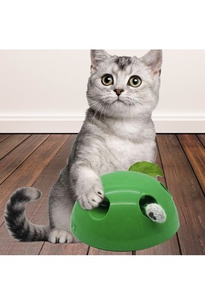 Buffer Kedi Oyuncaklari Ve Malzemeleri Hepsiburada Com