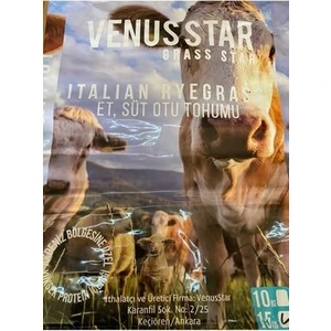 Venusstar Ryegrass Süt Otu Tohumu