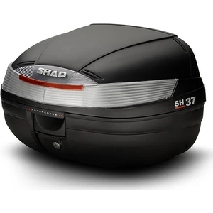 Shad-37