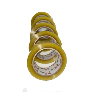 Koli Bandı 6'lı