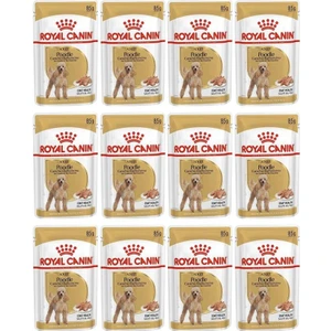 Royal Canin Poodle Tüy Sağlığı Destekleyici Yetişkin Köpek Konservesi 85GR 12 Adet