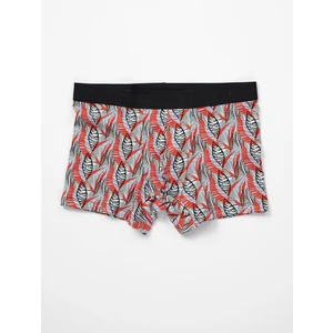 Grimelanj-Mercan Erkek Compact Desenli Boxer