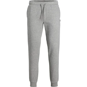 Jack & Jones Erkek Paçası Lastikli Eşofman Altı