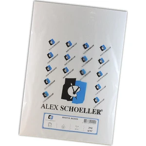 Alex Schoeller Amerikan Bristol Karton 210 gr 35 x 50 cm 100'lü