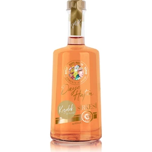Spil Kozalağı Sirkesi / Pine Cone Vinegar 500 ml