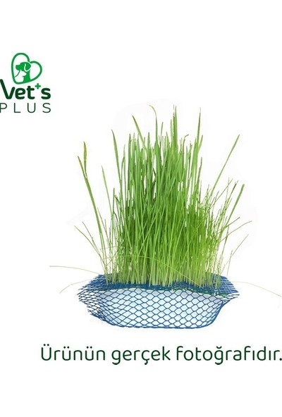 Vet's Plus Vet’s Plus %100 Doğal Fileli Kedi Çimi (Tüy Yumağı Önleyici)