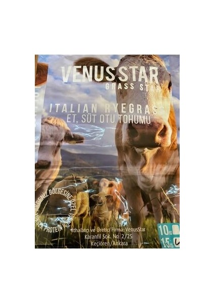 Venusstar Ryegrass Süt Otu Tohumu