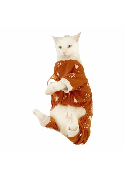 Sunny Penye Tulum Kedi Tulumu Kedi Elbisesi modelleri