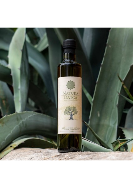Soğuk Sıkım Naturel Sızma Zeytinyağı 500 ml fiyatları