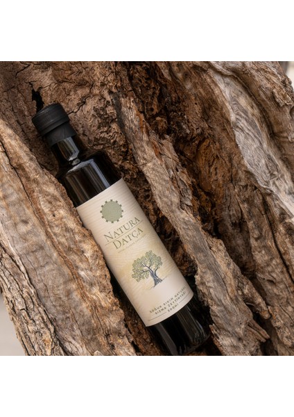 Soğuk Sıkım Naturel Sızma Zeytinyağı 500 ml modelleri