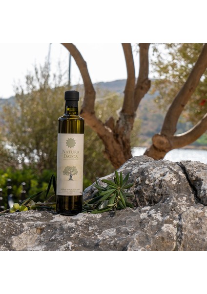 Soğuk Sıkım Naturel Sızma Zeytinyağı 500 ml fırsatları