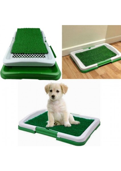 Köpek Tuvalet Eğitim Seti
