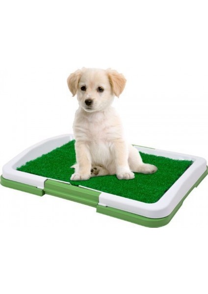 Köpek Tuvalet Eğitim Seti