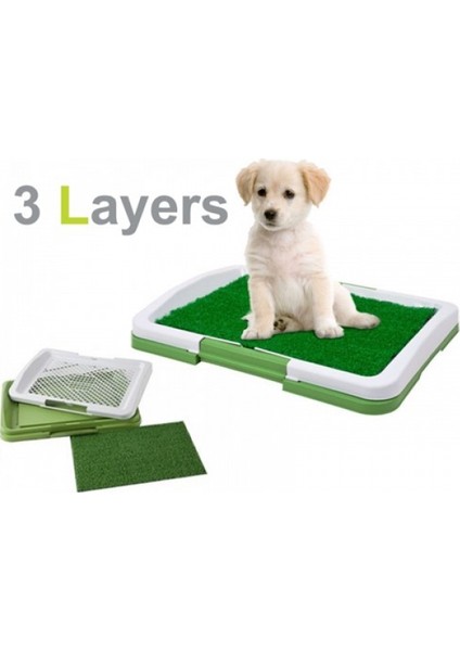 Köpek Tuvalet Eğitim Seti