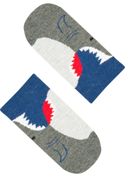 Lacıgrı Erkek Çocuk Shark 2li Patik Çorap fiyatları