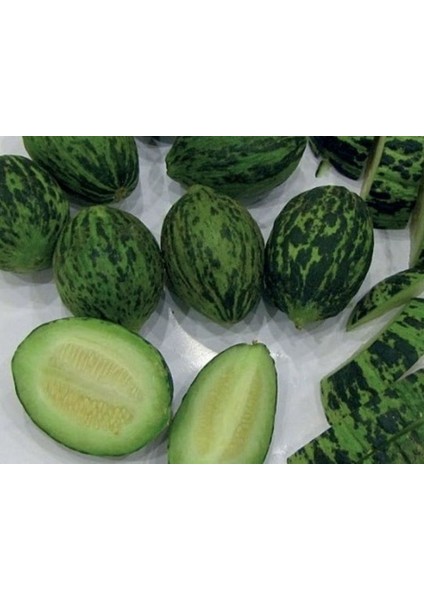 Kavun Tohumu Hıdır (Turşuluk)