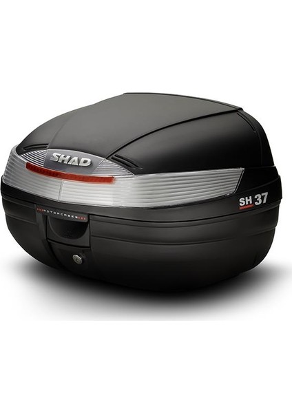 Shad-37
