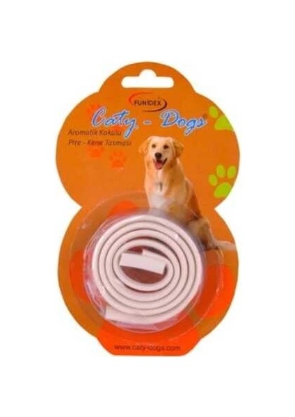 Köpek Tasması fiyatları
