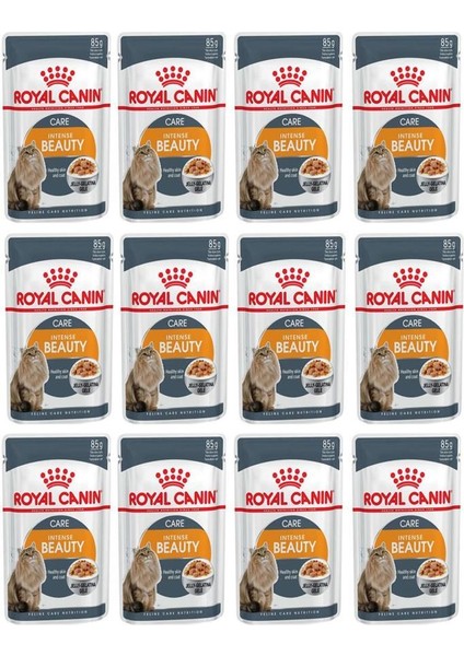 Intense Beauty Jel Içinde Yetişkin Kedi Konservesi 85GR 12 Adet