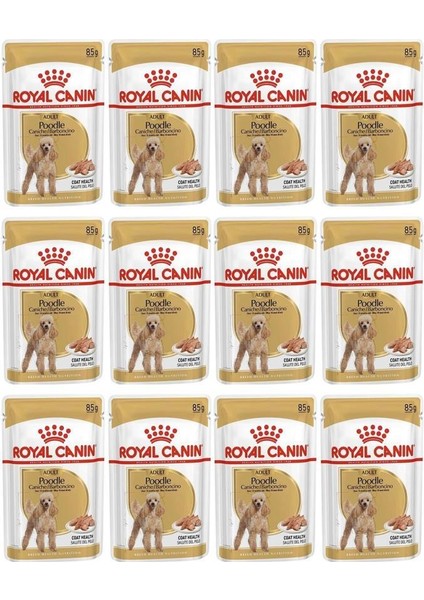 Royal Canin Poodle Tüy Sağlığı Destekleyici Yetişkin Köpek Konservesi 85GR 12 Adet