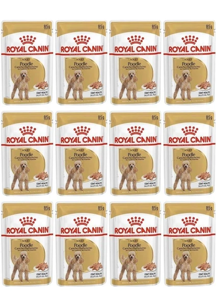 Royal Canin Poodle Tüy Sağlığı Destekleyici Yetişkin Köpek Konservesi 85GR 12 Adet