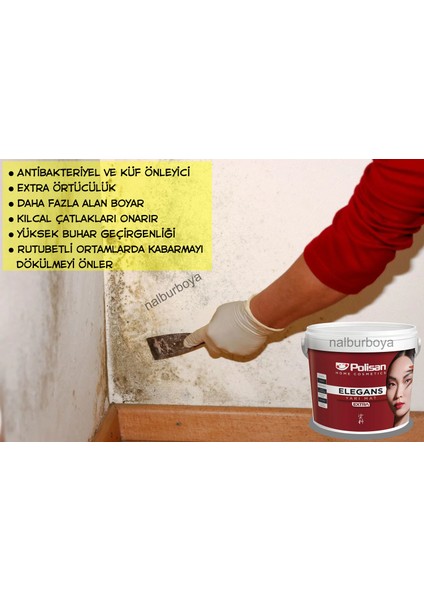 Antibakteriyel Elegans Extra 15LT/20KG+9 Parça Set-Su Bazlı-Tamsilinebilir-Silikonlu-Yarımat