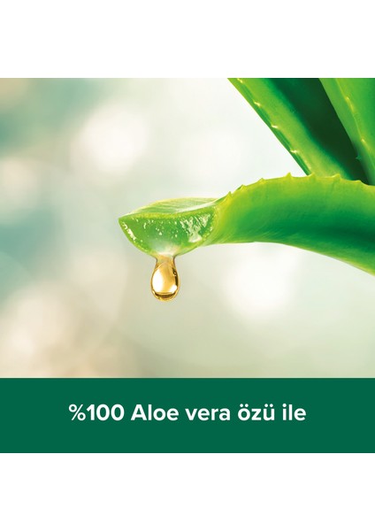 Spa Therapy Clay Detox Kil ve Aloe Vera Özü Banyo ve Duş Jeli 500 ml