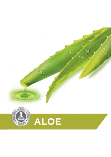 Aloe Kalıp Sabun 90 GR