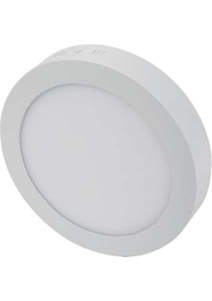 30W Sıva Üstü LED Panel (Yuvarlak) (Günışığı)