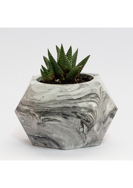 Geometrik Beton Saksı ve Kalemlik Seti - Siyah fiyatları