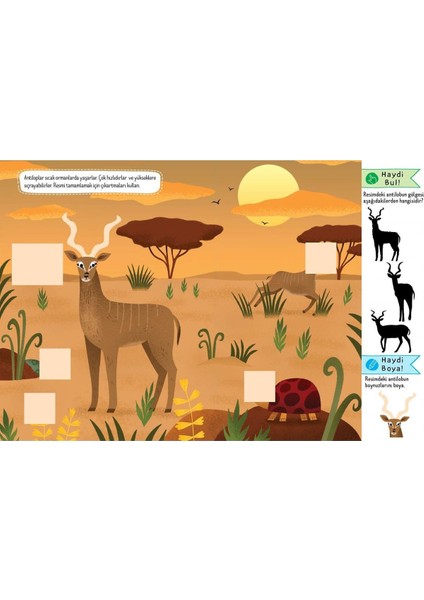 Doğal Yaşamda Safari (Eğlenceli-Öğretici Aktivite Kitabı)