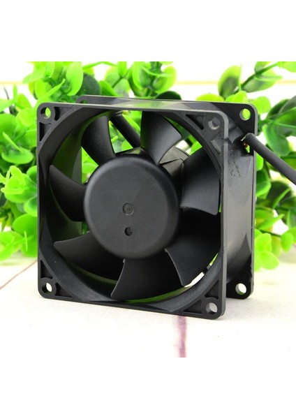 Asian Tech Store 12 Volt Fan 8 cm 38 mm