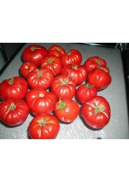 Ankara Ayas Domates Tohumu