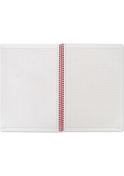 A4 Kareli Defter Animal Friends Kediler