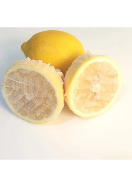 Limon Bonesi Çekirdeksiz Limon Keyfi 100 Adet