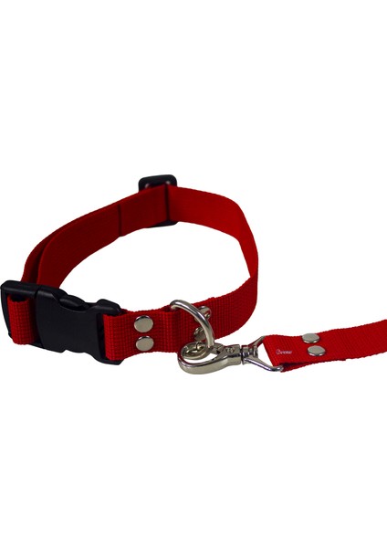 Köpek Tasması Köpek Gezdirme Ayarlanabilir Boyun Tasması Xz1