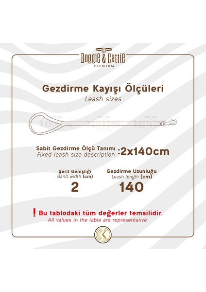 Köpek Tasması Turuncu Köpek Gezdirme Kayışı Medium fiyatları