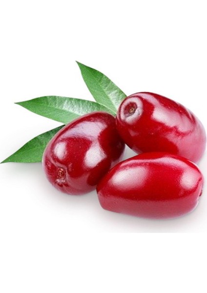Kızılcık Sirkesi / Cornelian Cherry Vinegar 500 ml