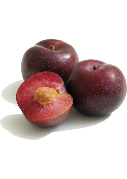 Anjelika Erik Sirkesi / Angeleno Plum Vinegar 500 ml