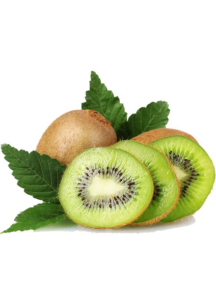 Kivi Sirkesi / Kiwi Vinegar 500 ml