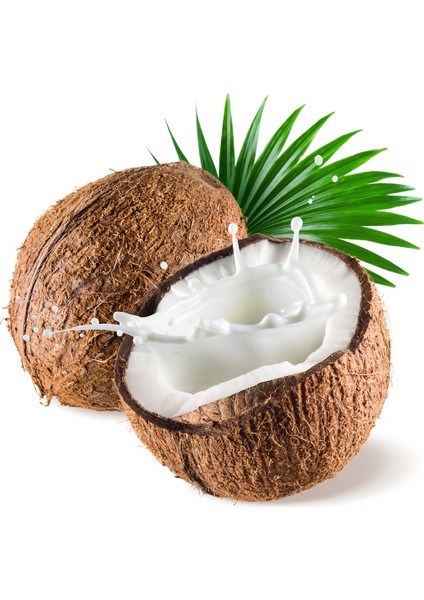 Hindistan Cevizi Sirkesi / Coconut Vinegar 500 ml fırsatları