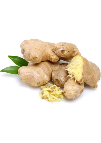 Zencefil Sirkesi / Ginger Vinegar 500 ml fırsatları