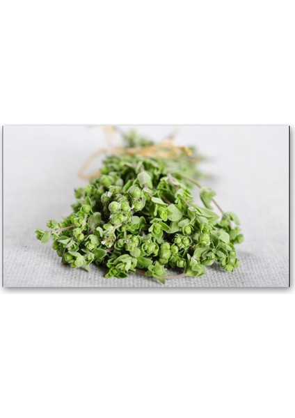Izmir Bilye Kekik Sirkesi / Oregano Vinegar 500 ml