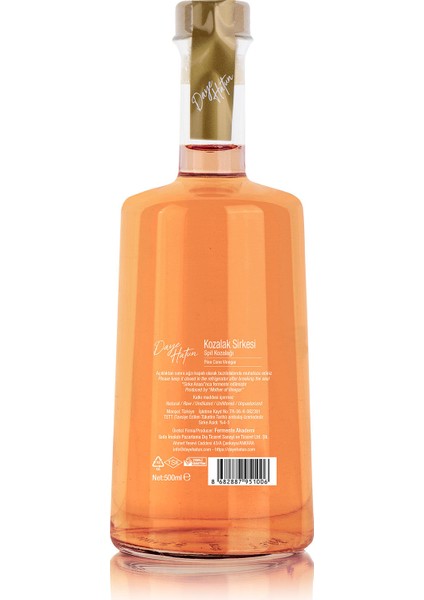 Spil Kozalağı Sirkesi / Pine Cone Vinegar 500 ml